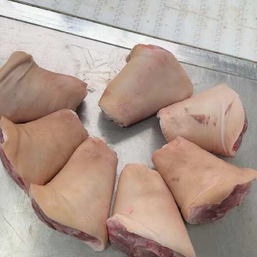 临沭县猪肘子 前肘后肘猪蹄膀 6 7 8分割前肘国产肘子蹄髈