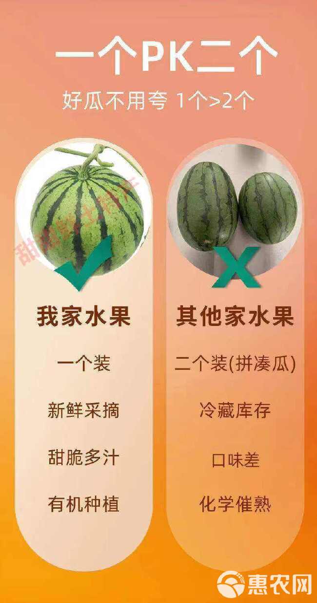 现摘麒麟超甜薄皮8424西瓜应季批发整箱无籽有籽新鲜