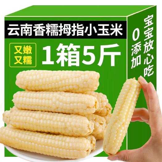 昆明西双版纳真空包装袋装拇指玉米批发厂家直发一件代发糯玉米花糯