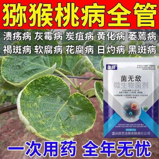 栾川县猕猴桃专用药猕猴桃病全管溃疡病炭疽褐斑灰霉病果树通用型菌剂