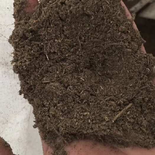 正定县中药渣，育肥，抗菌，改善肠道，提高抗病力