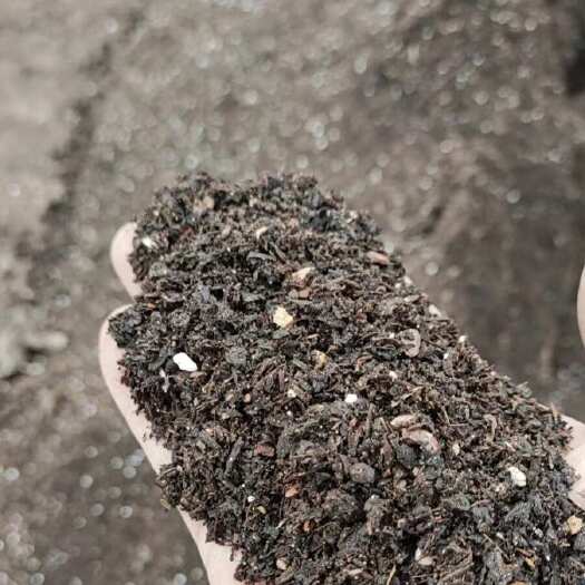 灵寿县营养土，泥炭土松针种菜专用土草莓土养花多肉种植土绿化泥炭