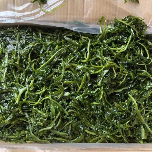 睫毛菜，裙带芽，眉芽菜