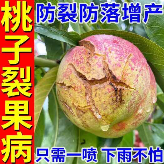 桃子果不裂叶面肥杏子防裂果美果农用裂果克星防裂剂防治裂果