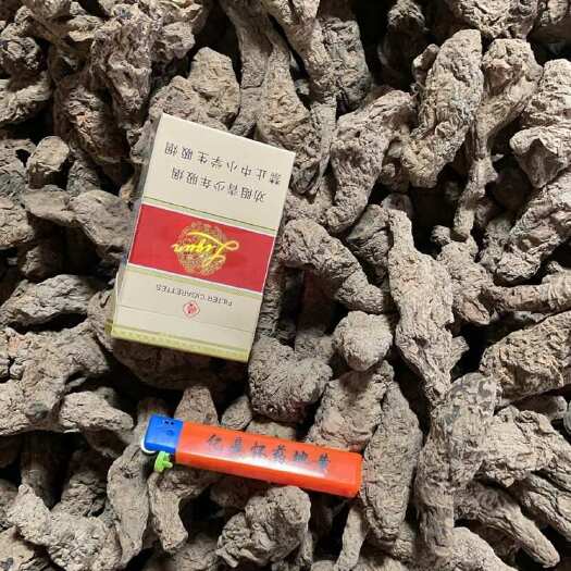 武陟县怀庆府地黄，