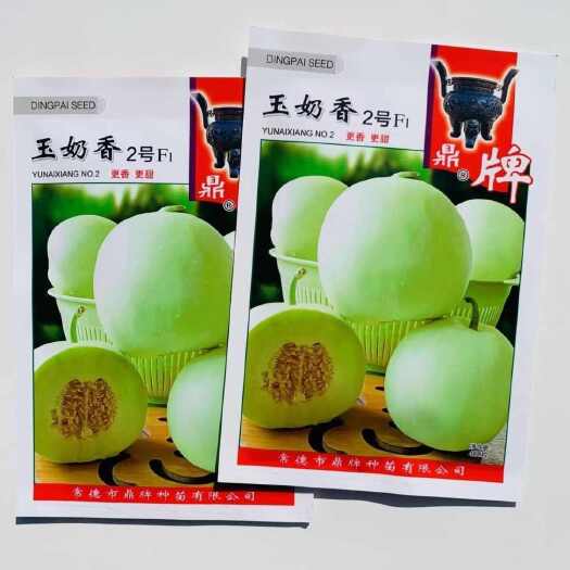 沭阳县鼎牌玉奶香2号甜瓜种子早熟耐湿耐裂薄皮甜瓜种子棚室露地栽培