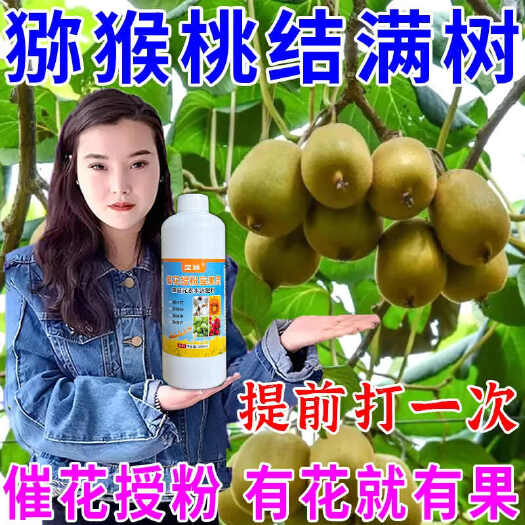 栾川县猕猴桃专用花粉授粉精猕猴桃催花座果灵免沾花防落素保花保果肥料