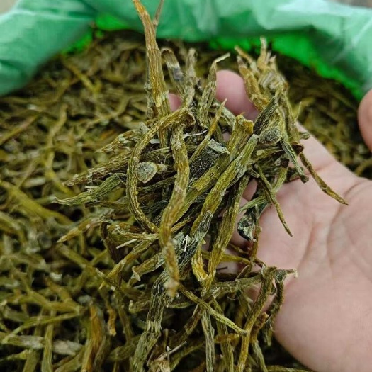广州实惠珍虫石斛条，胶质好无渣，质量好货。