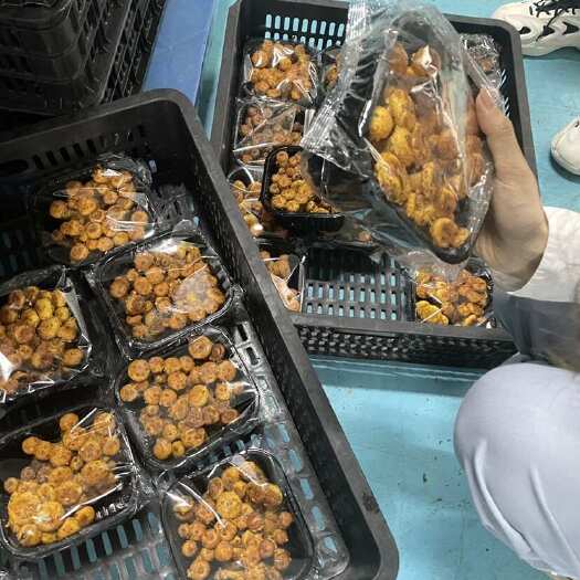 新鲜虎松茸，品质保证，可提供相应产品检测报告。