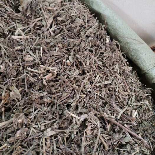 玉林批发￼￼马鞭草