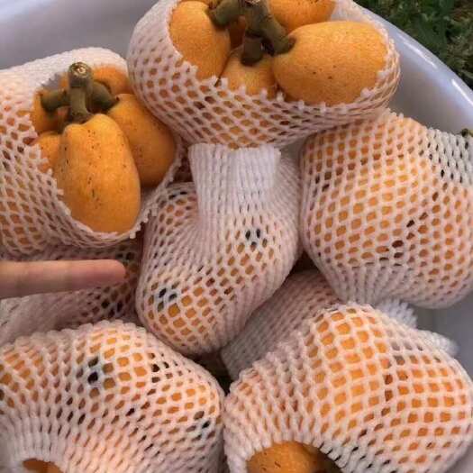  枇杷
