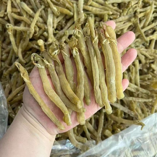 广州北海大沙虫干
