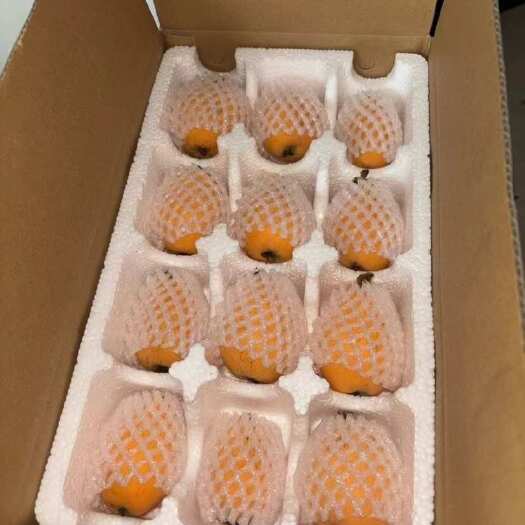  枇杷