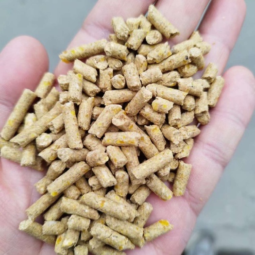 临沂适口性好长势快