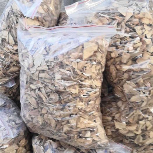 漳州辣木根
