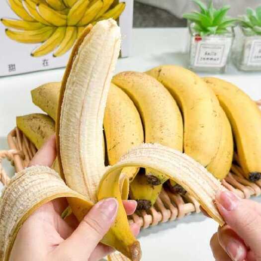 高州市高州遁地雷香蕉 软糯香甜 冰糖心的果肉