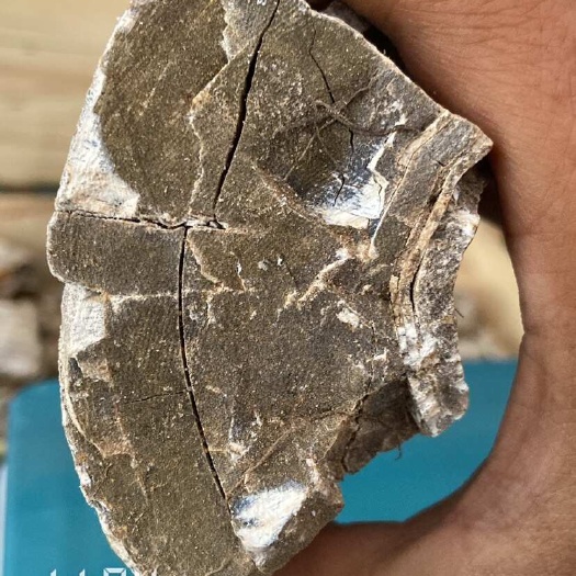 精品山西地产五花龙骨！正品保证数量不多。有意私聊