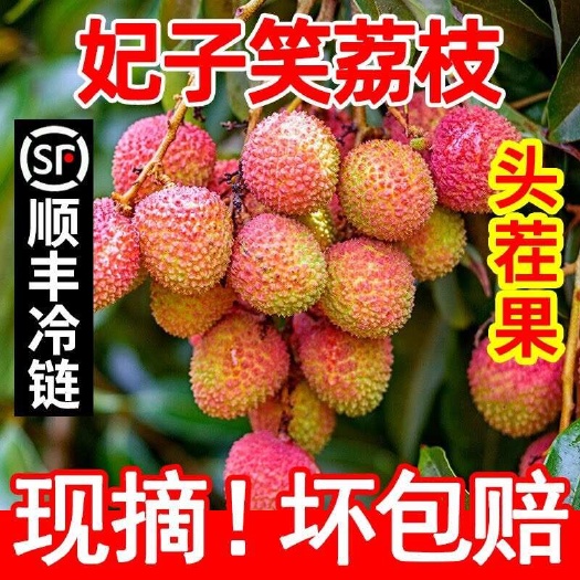 海南妃子笑荔枝5斤新鲜水果应当季整箱包邮王桂花现摘荔枝