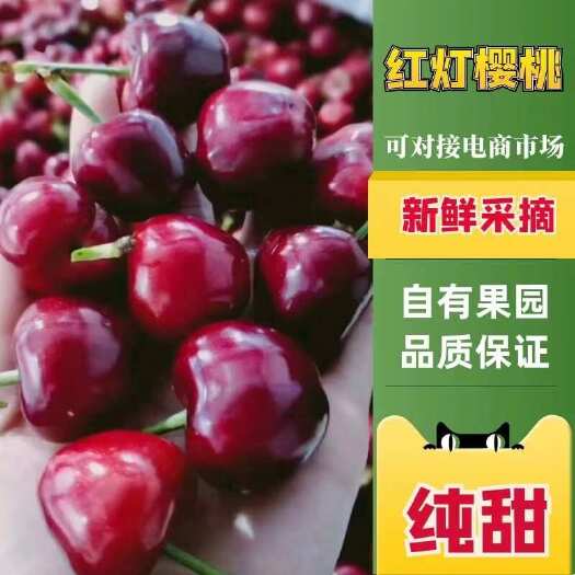 临朐县山东樱桃大量上市，支持一件代发