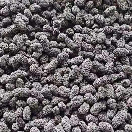 德昌县黑桑葚  冷藏桑葚