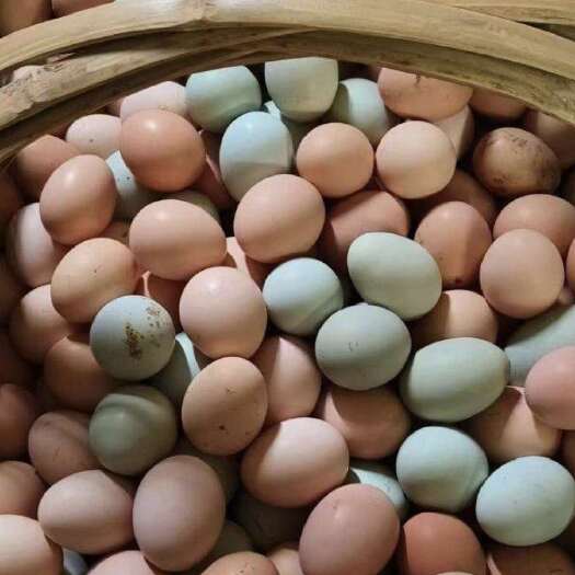 铜陵山林放养土鸡蛋，360枚净重28斤左右，皖南山区发货