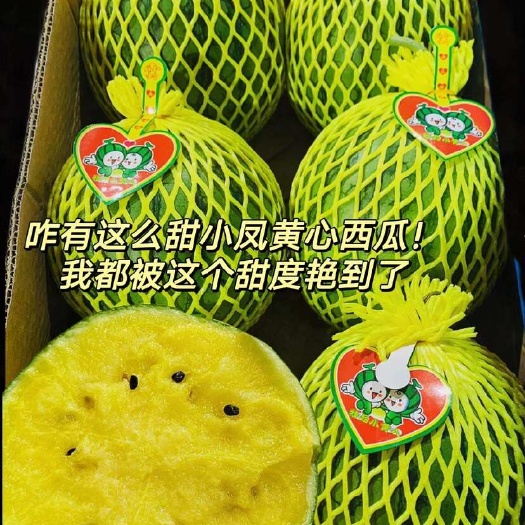 沭阳县特小凤。价格私信咨询