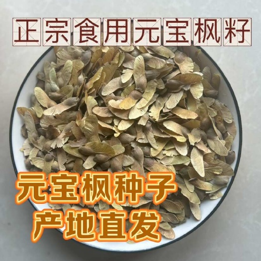 泊头市元宝枫籽榨油种植植物神经酸
