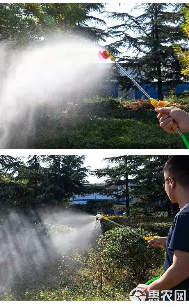 电动喷雾器农用高压打药机手提式充电果树抽水洗车机隔膜双泵机器