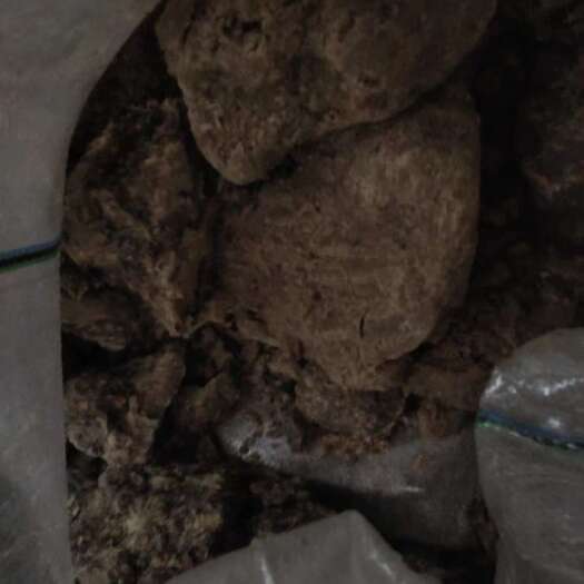 西安油渣十吨