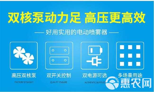 电动喷雾器农用高压打药机手提式充电果树抽水洗车机隔膜双泵机器