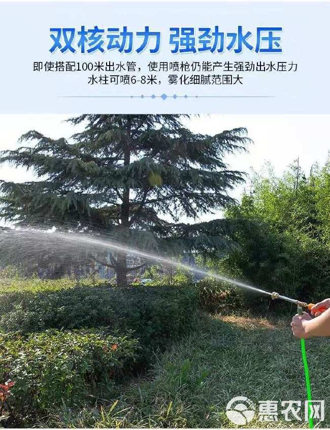 电动喷雾器农用高压打药机手提式充电果树抽水洗车机隔膜双泵机器