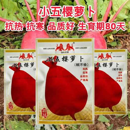 抗热抗寒小五樱红萝卜种子贼不偷红萝卜种子 长五樱红萝卜种子