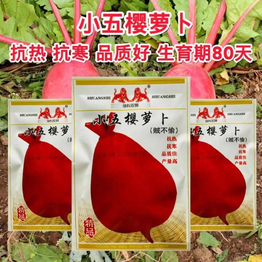 宿迁抗热抗寒小五樱红萝卜种子贼不偷红萝卜种子 长五樱红萝卜种子