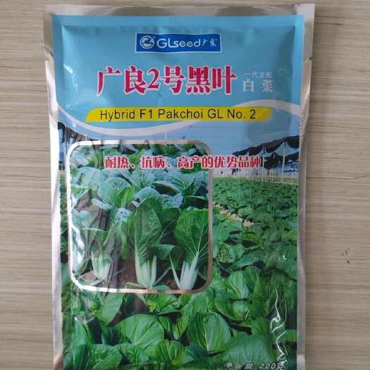 广良2号黑叶白菜一代交配200g蔬菜