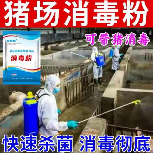 栾川县猪场消毒单过硫酸氢钾消毒粉消毒剂非瘟消毒液养殖场专用