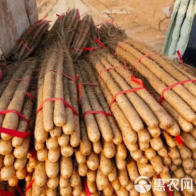 去皮卢土铁棍山药粉糯面甜整根新鲜蔬菜带皮真空包装一件代发包邮