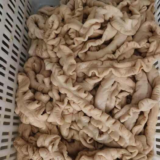 佛山干水去油90%熟大肠