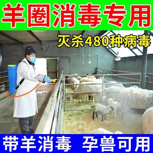 羊圈消毒液羊舍快速除菌除臭防治病害长期有效防护消毒液