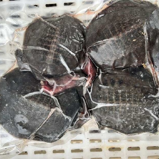 武汉甲鱼   卤甲鱼  去皮  去内脏