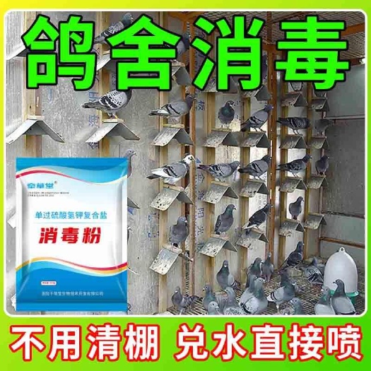 栾川县鸽舍消毒液【不用清棚】鸽舍鸽棚鸽场养殖场杀菌抗病害消毒粉