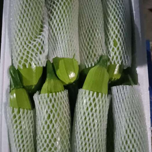 聊城西葫芦，茄子