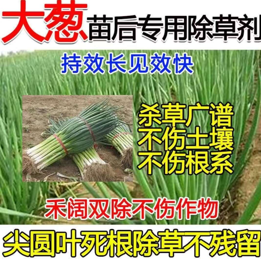 除草剂 大葱苗后专用除草剂 圆葱大蒜韭菜等，尖叶圆叶