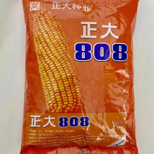 长沙云南正正大808杂交玉米种子--4000粒(约1.2公斤