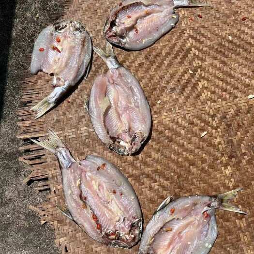 泾县皖南咸鱼干