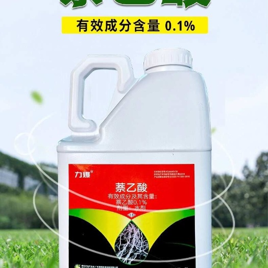 力爆0.1%萘乙酸水剂5千克生长调节农药保花促进果实肥厚早熟