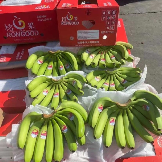 上海精品菲律宾二级蕉，品质保质保量，口感软糯香甜，做的就是品质