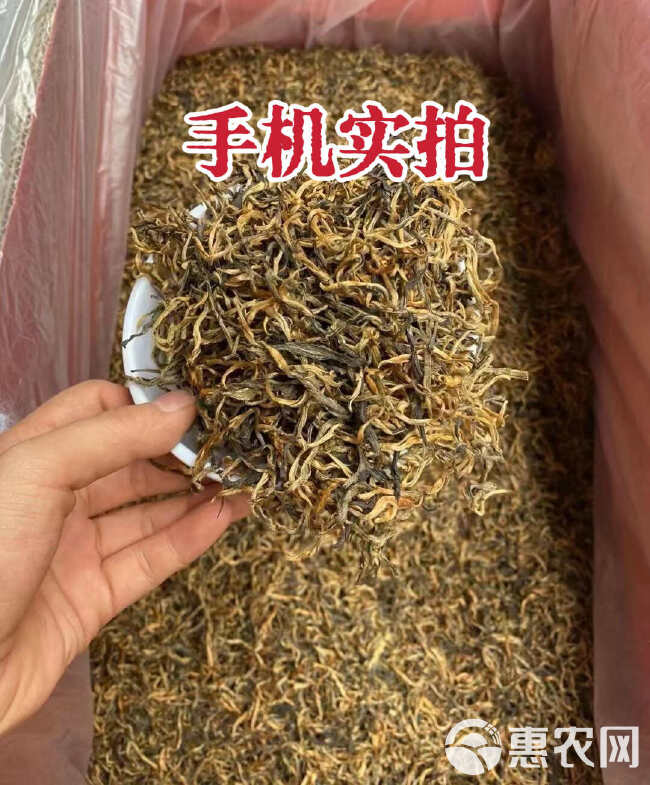 英红九号红茶 金丝芽 黄芽英德特产红茶 批发价 散装袋装红茶