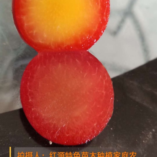 巴中仙子樱桃李苗，樱桃李，樱桃李苗