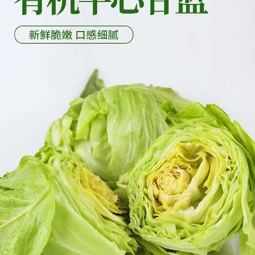 牛心甘蓝