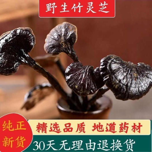 亳州云南灵芝天然竹灵芝整枝非长白山灵芝切片林芝食药用菌